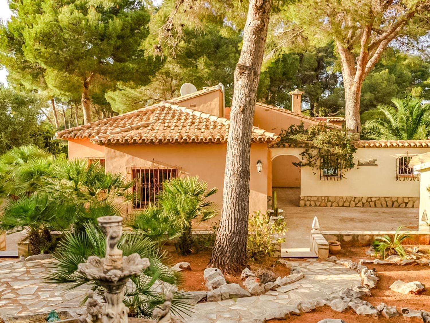 Villa De דניה מראה חיצוני תמונה