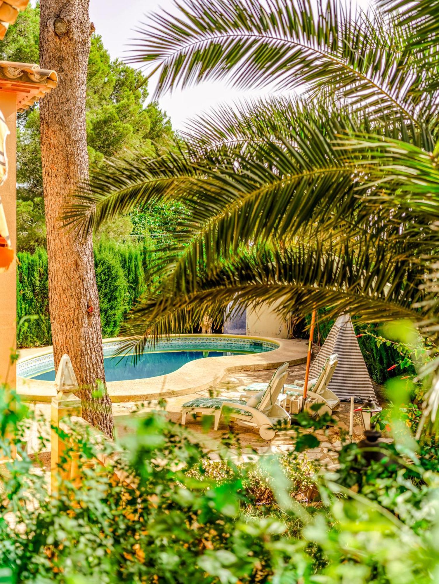 Villa De דניה מראה חיצוני תמונה